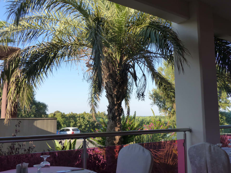 Ausblick Afandou Bay Resort Suites