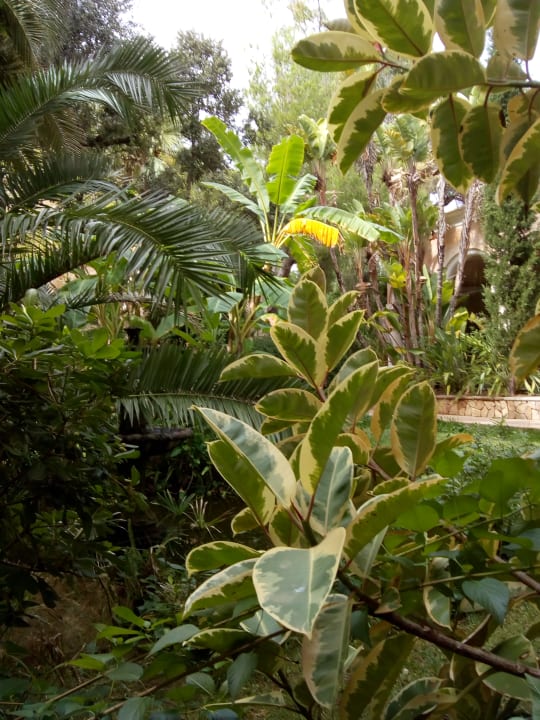 Gartenanlage Lago Garden