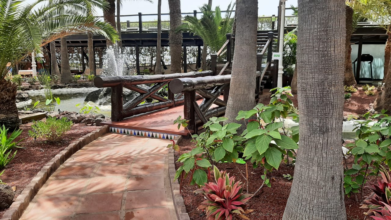 Gartenanlage Hotel Parque Tropical