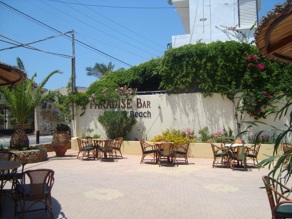 Vor der Strandbar Cactus Beach