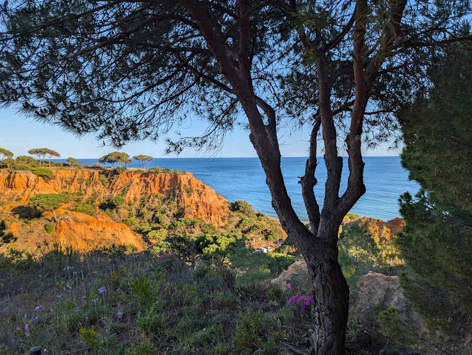 Außenansicht PortoBay Falésia