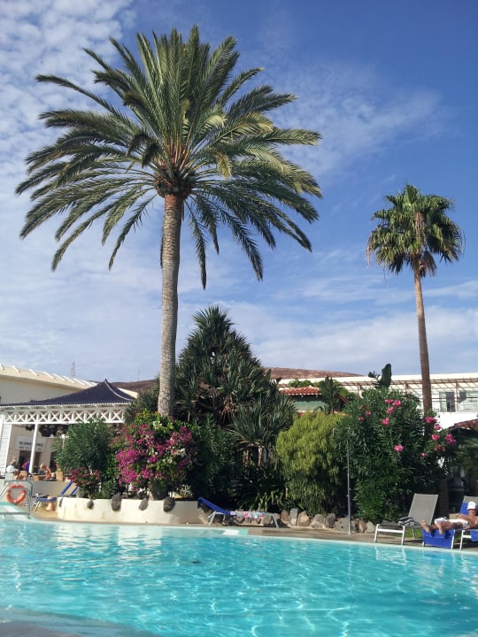 Blick auf Pool, Poolbar ROBINSON JANDIA PLAYA