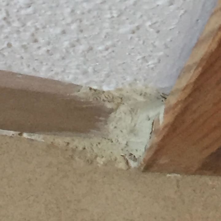 Notdürftig zusammen geflickt Globales Bouganvilla