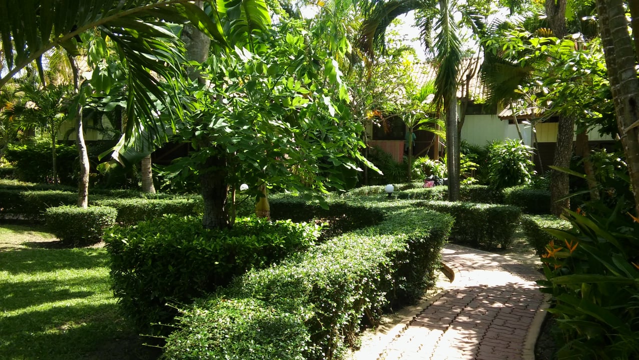 Gartenanlage Pinnacle Samui Resort