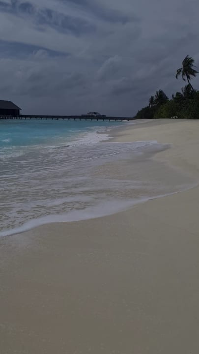 Strand The Standard Maldives