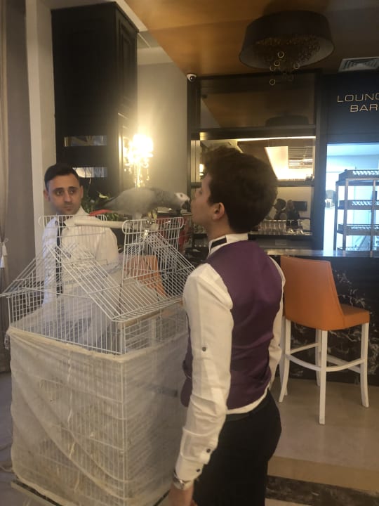 Sonstiges J'adore Deluxe Hotel & Spa