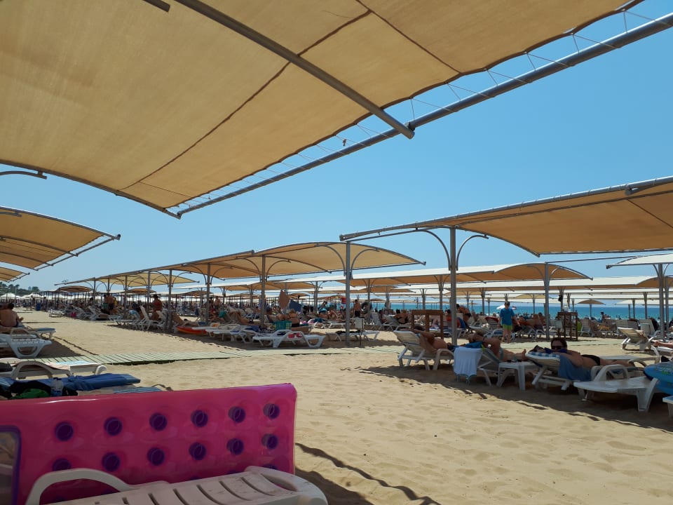 Strand Calimera Hane Garden