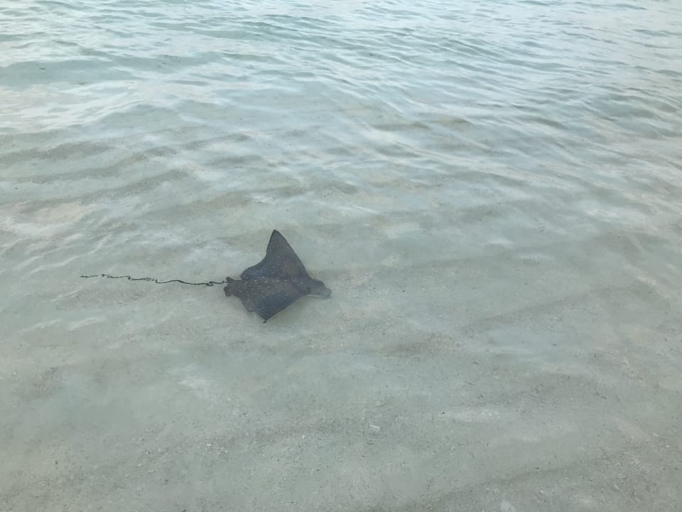 Strand Adaaran Select Hudhuran Fushi - Premium All Inclusive