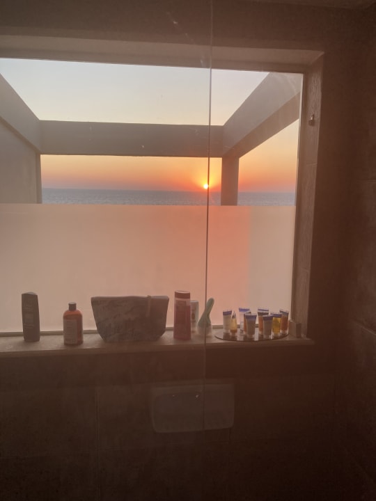 Zimmer Pickalbatros Citadel Resort