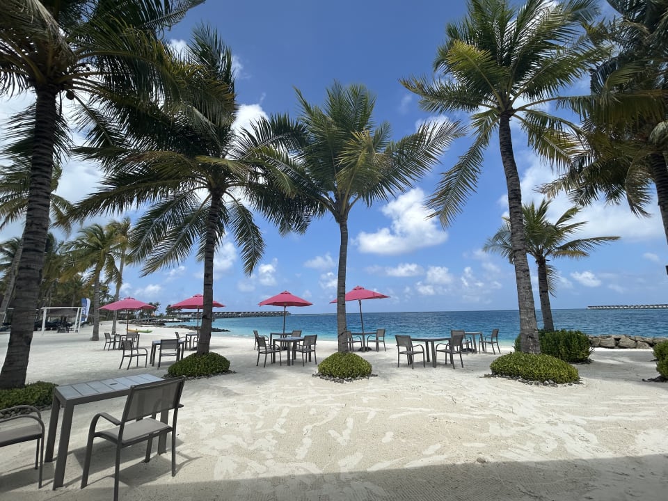 Gastro OBLU SELECT Lobigili