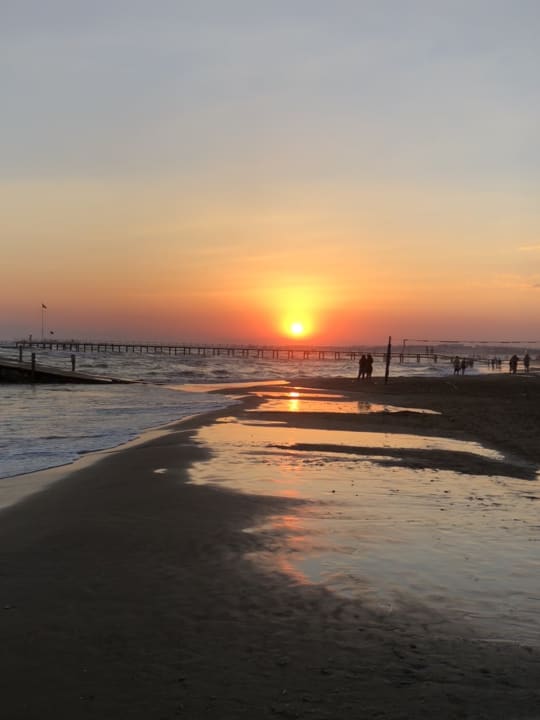 Strand Arum Barut Collection