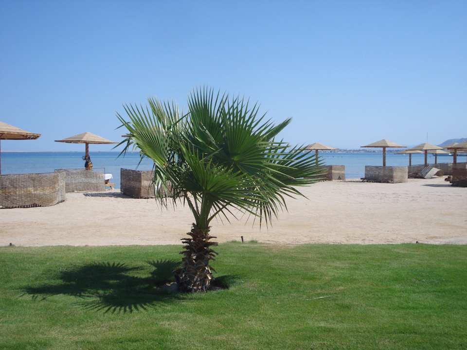 Grünstreifen vor dem Strand Shams Prestige Abu Soma-Adults Only