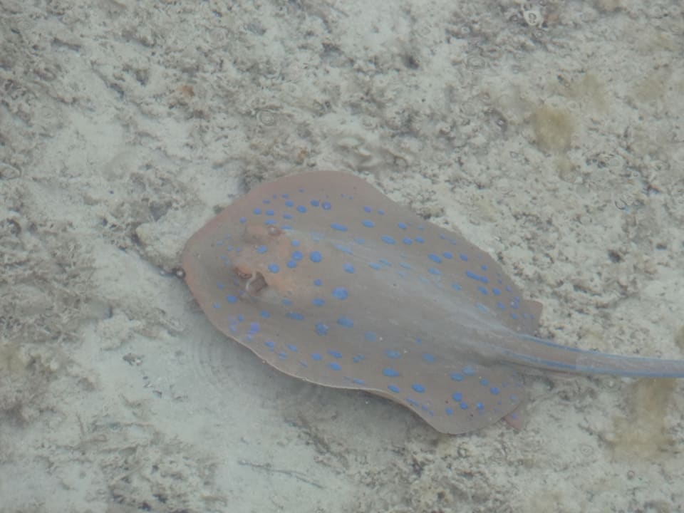 Strand Casa Mare Resort