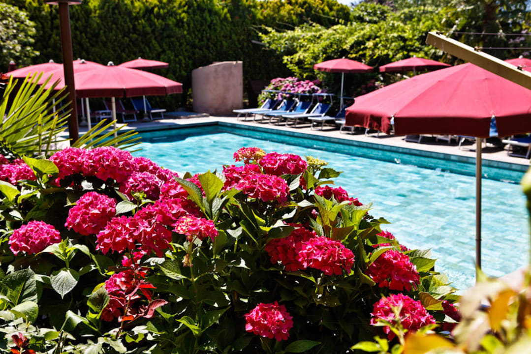 Pool 30°  Hotel Gartenresidence Zea Curtis