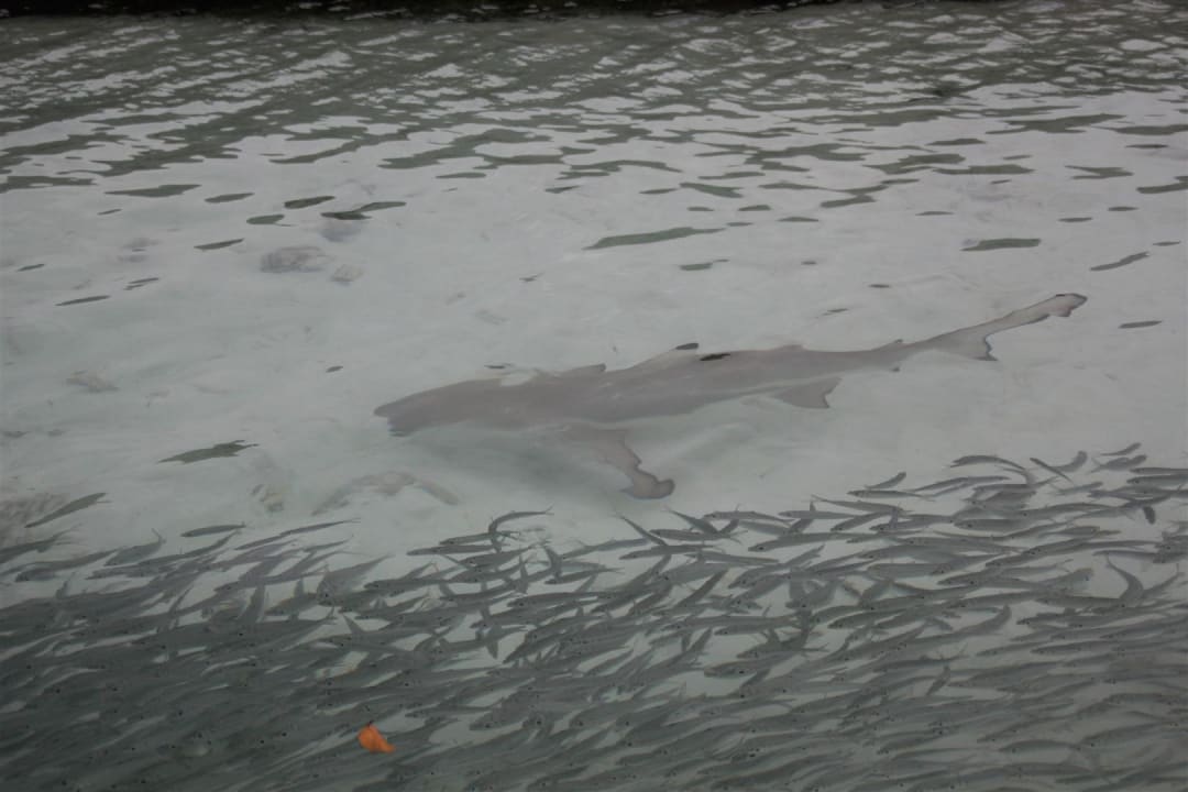 Hai Kuramathi Maldives