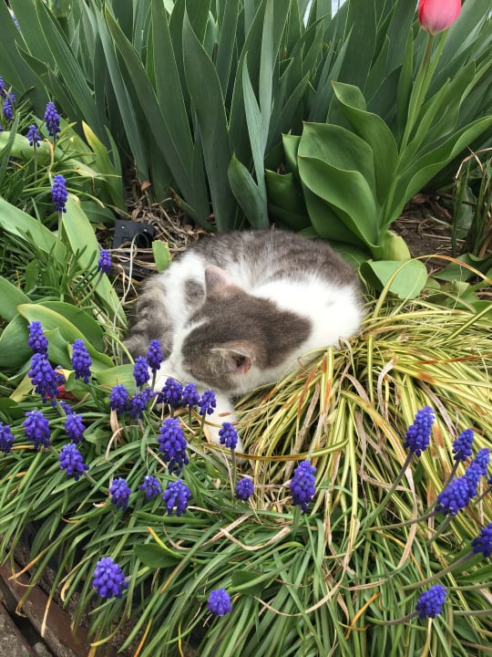 Sonstiges Ferienhof Schmid