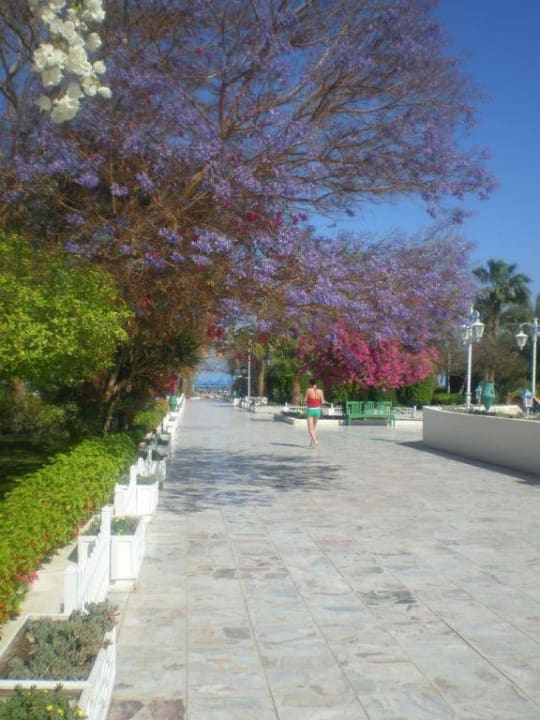 Zum Strand The Grand Hotel Hurghada