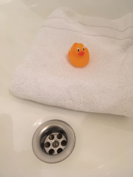 Zimmer Haus Braunschweig