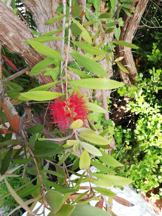 Gartenanlage Hotel Park Imperial Terme