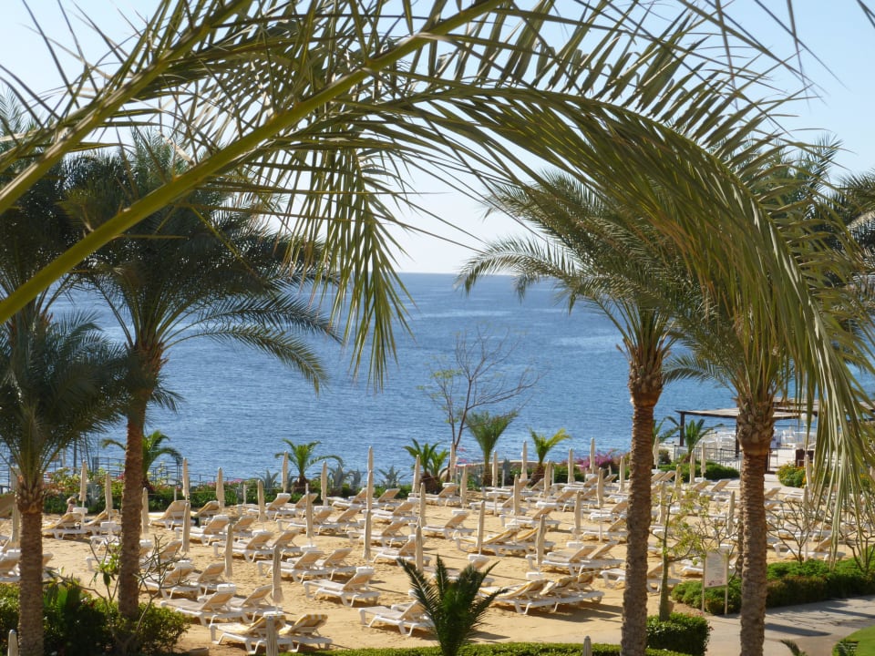 So schön kann Urlaub am Strand sein Stella Di Mare Beach Hotel & Spa, Sharm El Sheikh