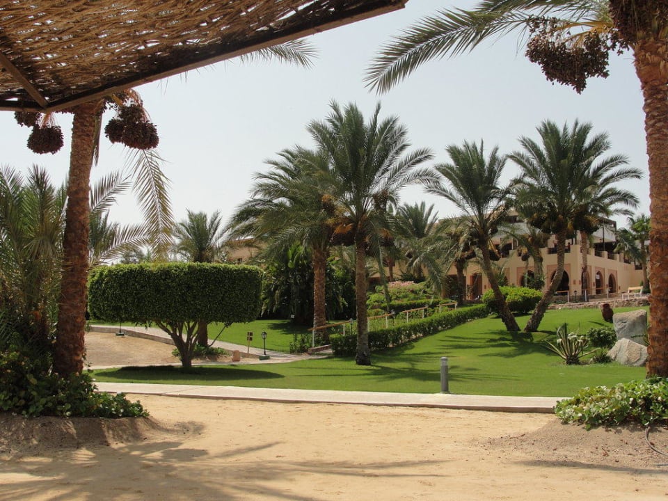 Blick vom Strand zum Hotel Steigenberger Coraya Beach - Adults only