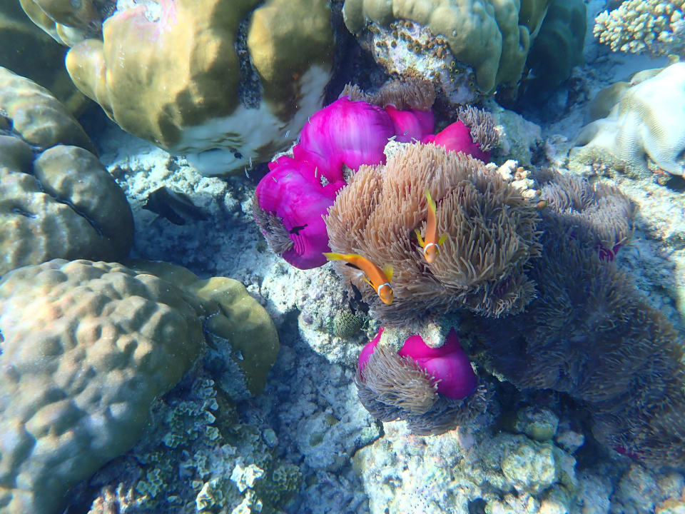 Sport & Freizeit Filitheyo Island Resort