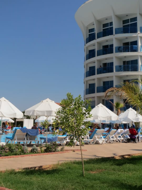 Liegen am Pool Sultan of Dreams Hotel & Spa