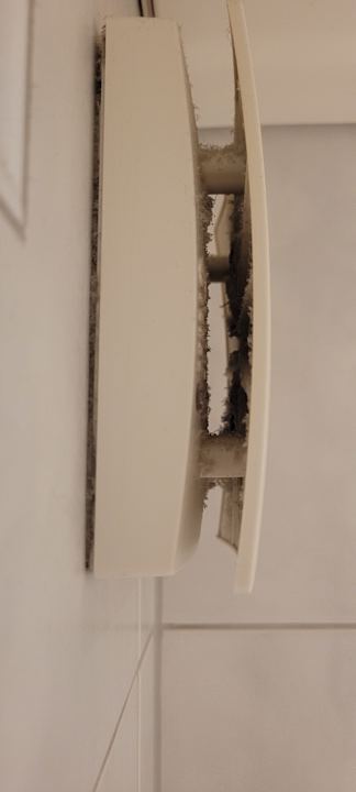 Zimmer Lord Nelson 204