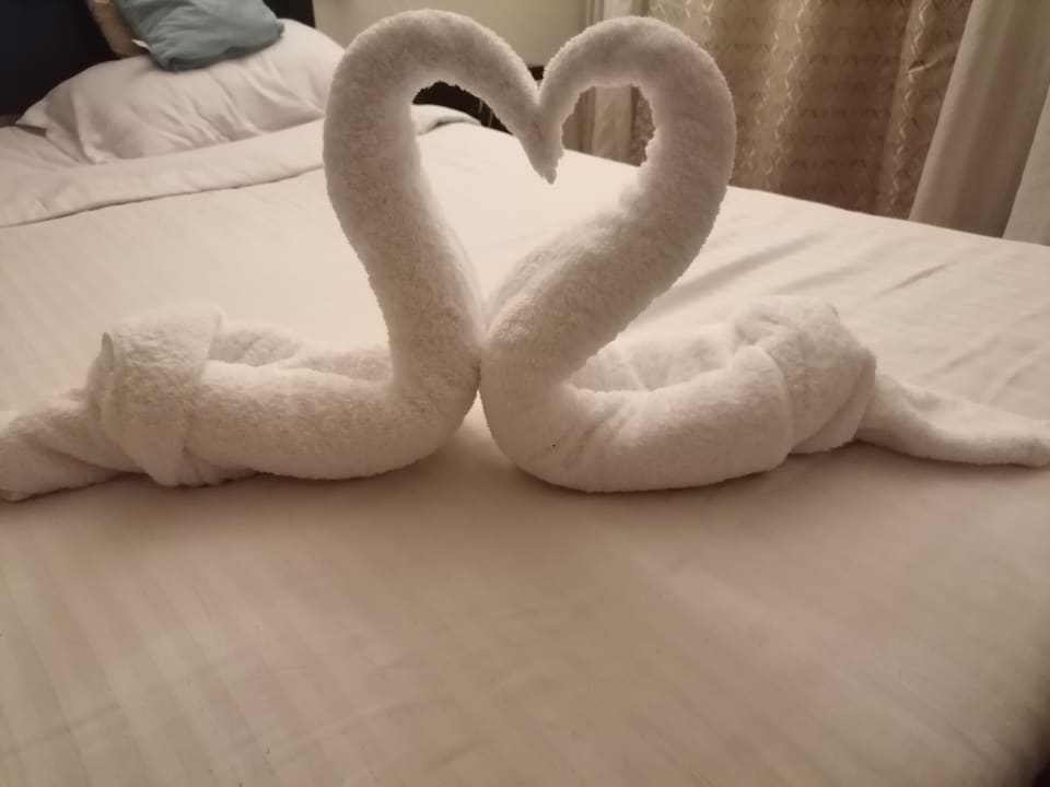 Zimmer Three Corners Sea Beach Resort