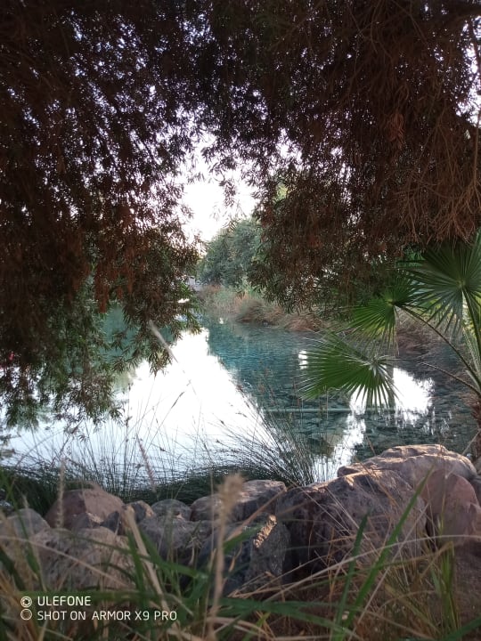 Gartenanlage TUI MAGIC LIFE Kalawy