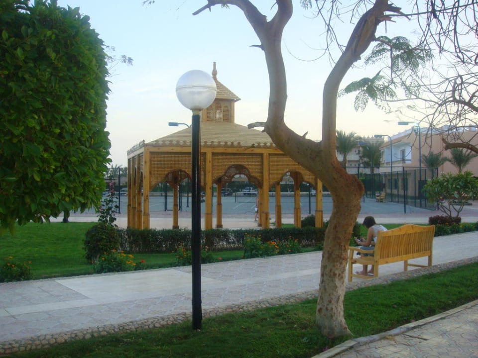 Schachhaus Beach Albatros Resort