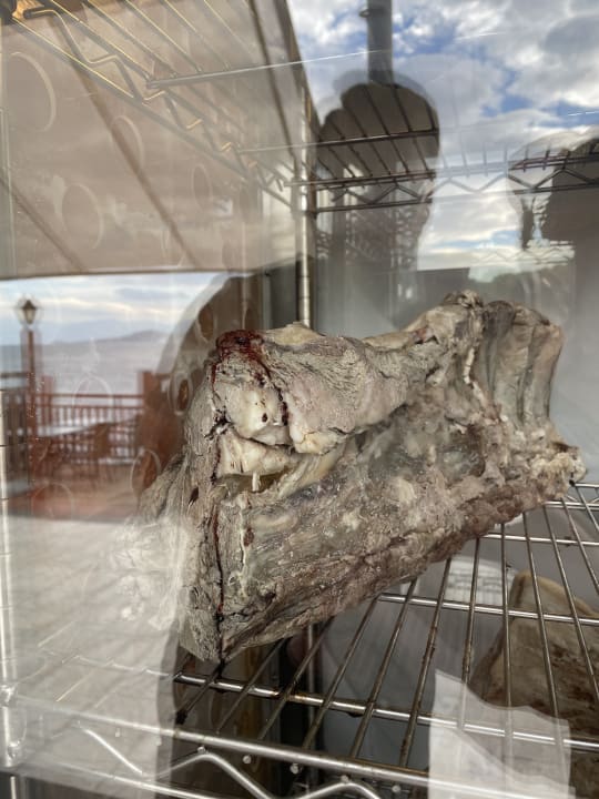 Gastro Hotel Pine Bay Holiday Resort