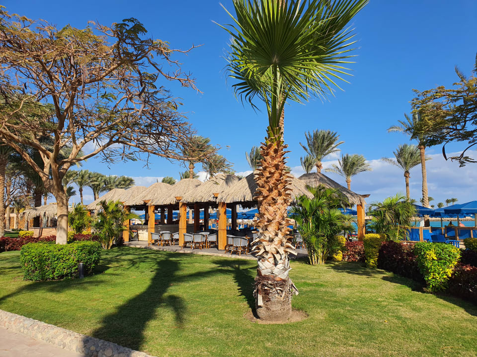 Gartenanlage Continental Hotel Hurghada