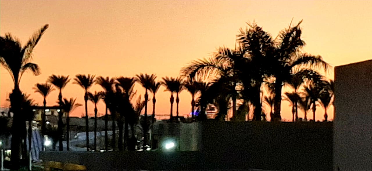 Sonstiges Beach Albatros Resort