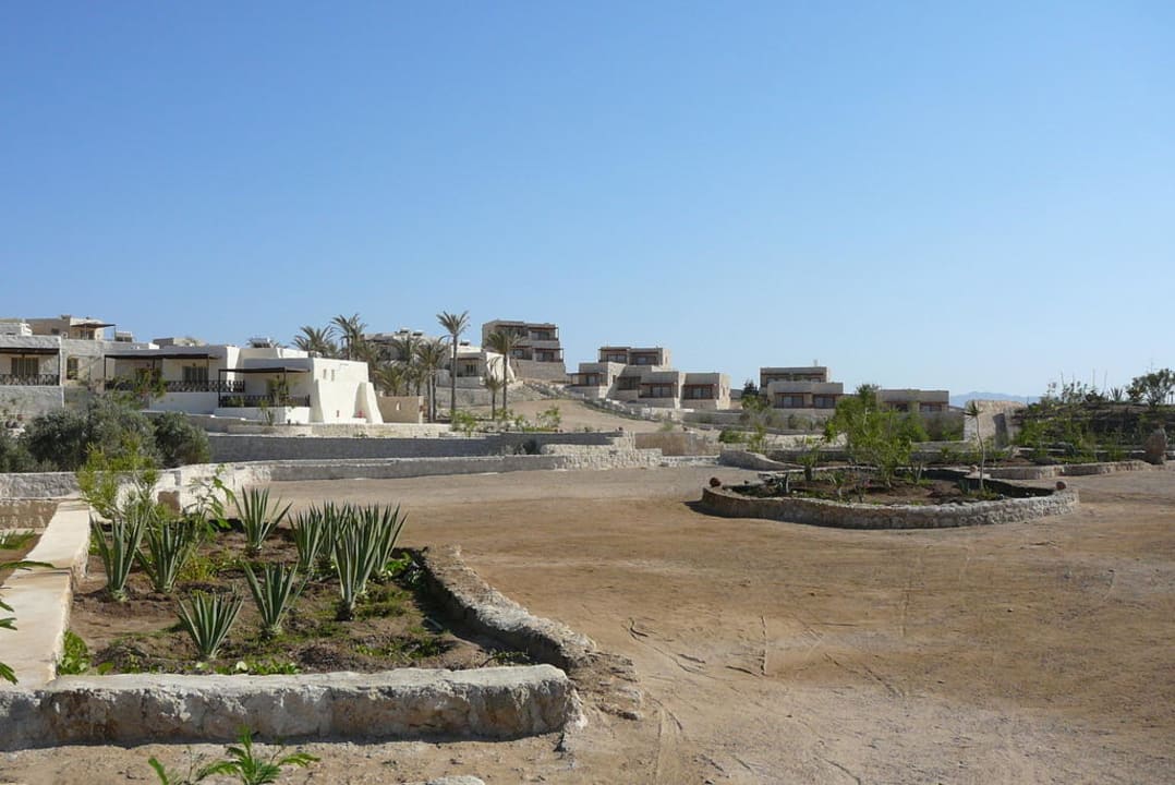 Übersicht The Oasis Dive Resort