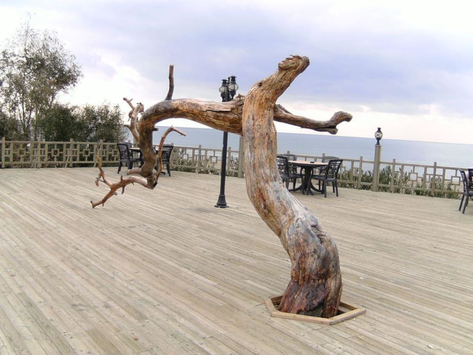 Terrasse vorm Strand Sunrise Resort Hotel