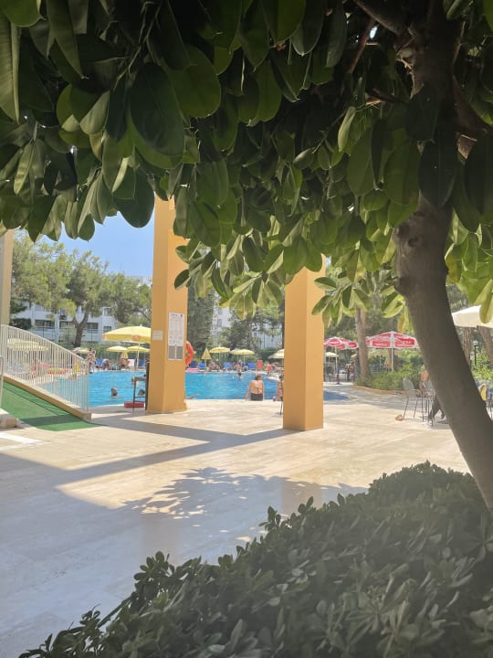 Pool Asteria Collection Side