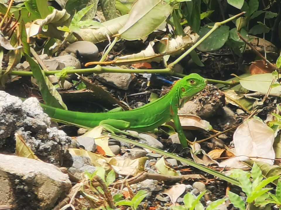 Gartenanlage Parador Resort & Spa