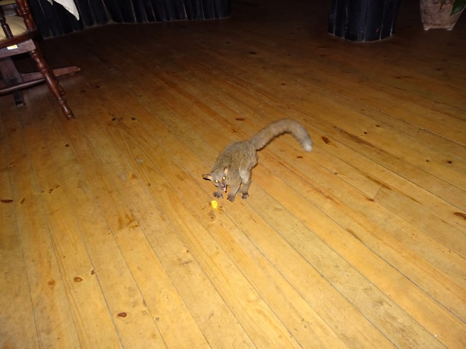 Sonstiges Shimba Hills Lodge