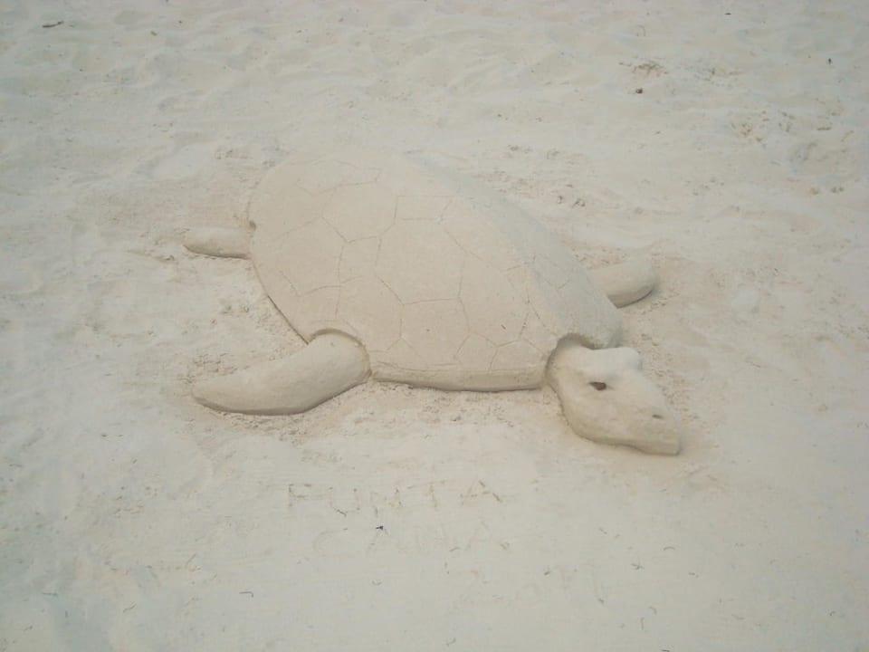 Schweizer Künstler Punta Cana Princess All Suites Resort & Spa