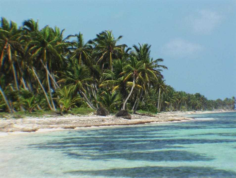 Langer Palmenstrand Catalonia Punta Cana - All Inclusive