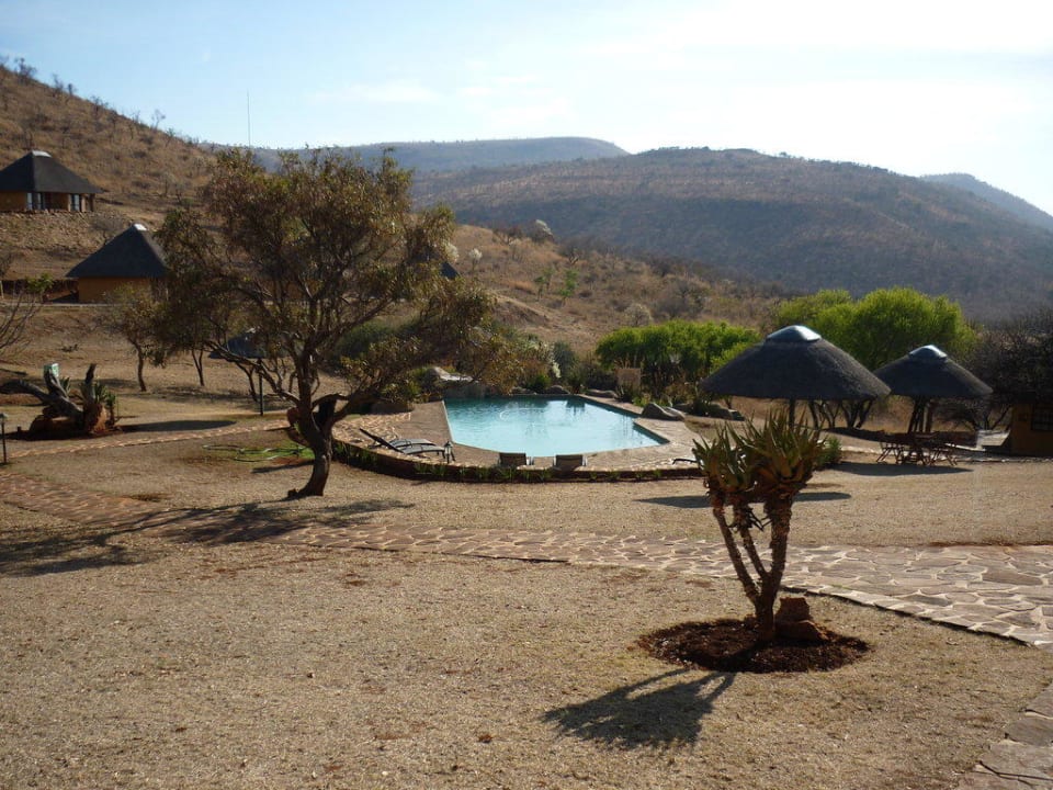 Abkühlung gefällig Hannah Game Lodge
