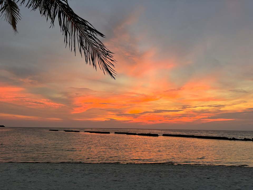 Ausblick Kuredu Island Resort & Spa