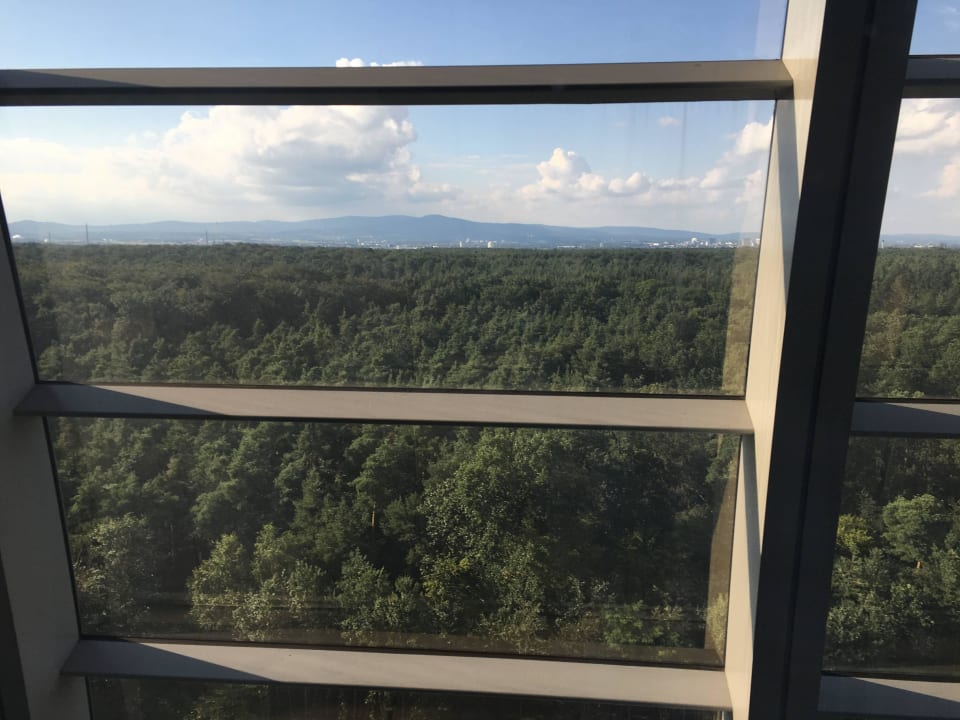 Ausblick vom Zimmer Hilton Frankfurt Airport