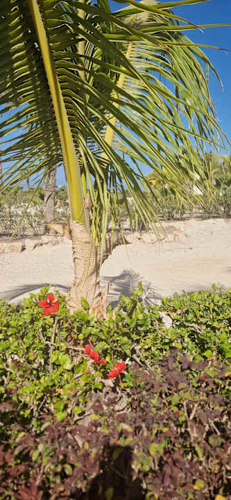 Außenansicht Hotel Riu Palace Santa Maria