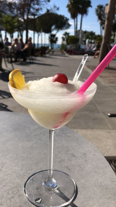 Gastro Acanthus Cennet Barut Collection