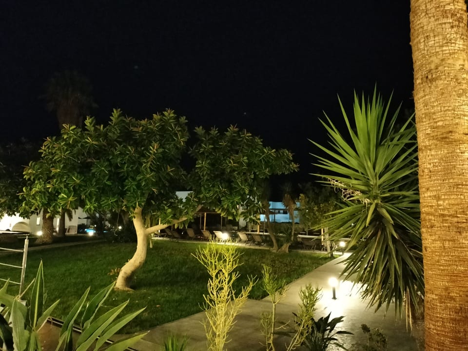 Gartenanlage Summer Village of Hippokrates - Adults only