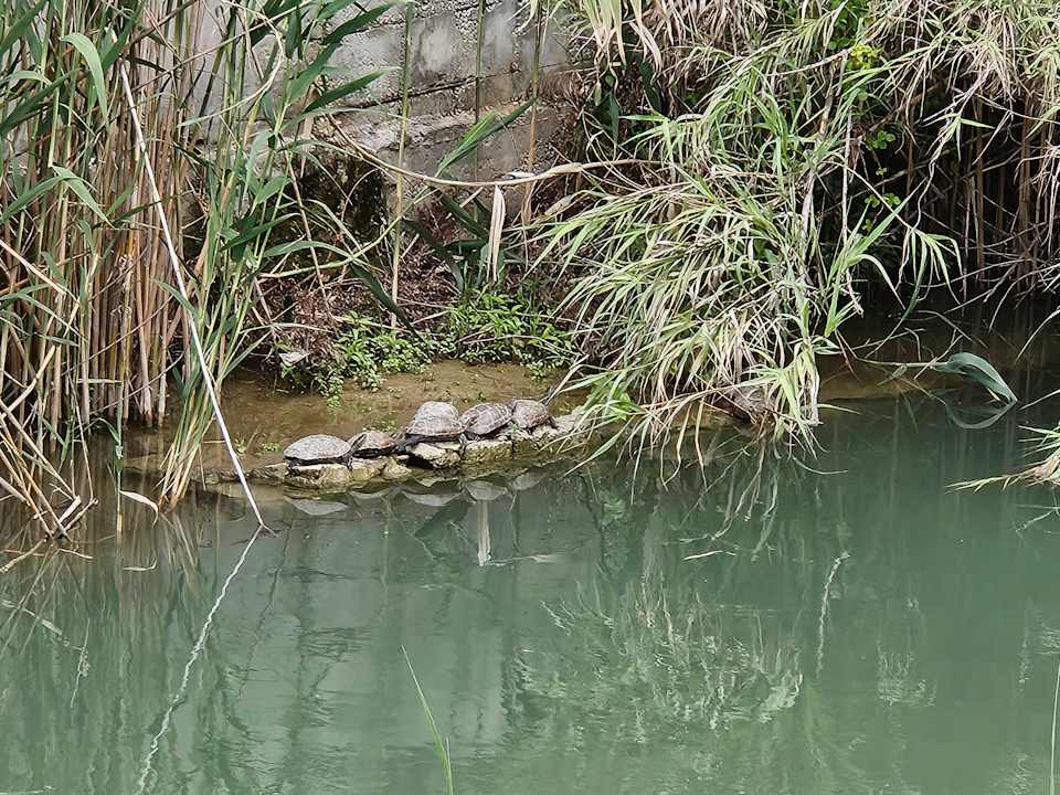 Sonstiges Hane Family Resort