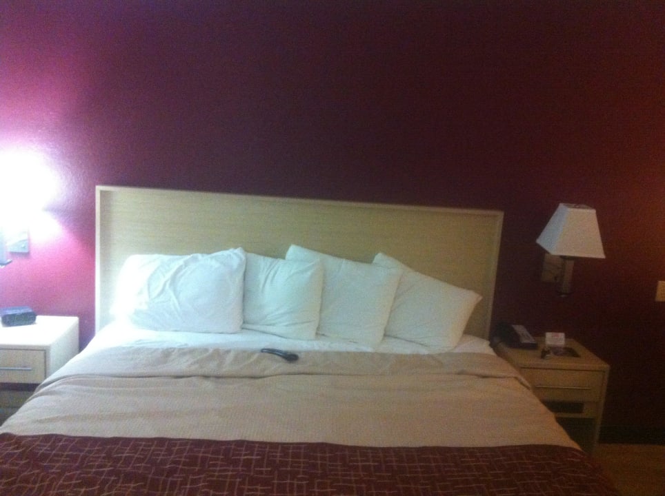 Großes modernes Bett Red Roof Plus Miami Airport