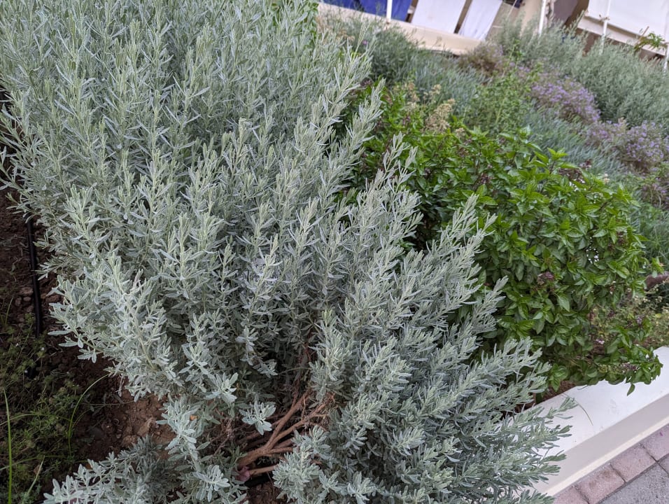 Gartenanlage Hydramis Palace Beach Resort